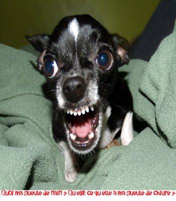 Tu peux m'appeller Loqueman