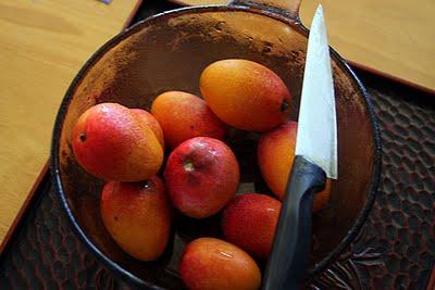 Le meilleur fruit : la mangue