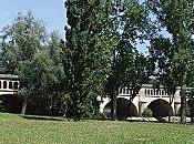 avenir prometteur pour Bosquet l'Orb