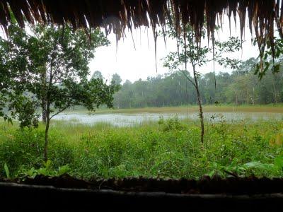 130.Souvenirs diluviens de Chi Pat