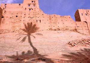 Sites partenaires Tamnougalt1