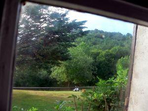 arrivée des petits 001