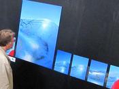 Photographie jean-michel pouzet