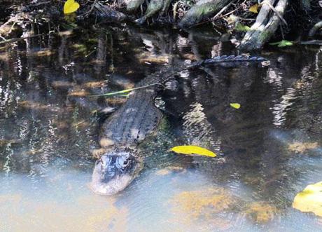 Architecture à croquer : Miami Art Déco