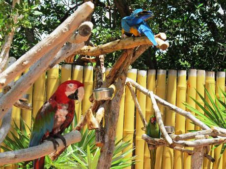 Architecture à croquer : Miami Art Déco