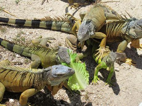 Architecture à croquer : Miami Art Déco