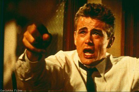 fureur_de_vivre_7301