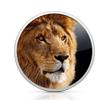 OS X Lion dépasse le million de téléchargements!