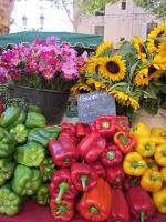 groupe CASSIS au marché vendredi 15 juillet 2011