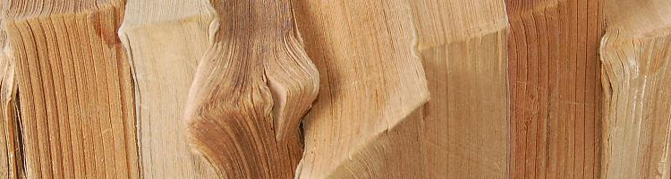 Lecture éclair, l’argument massue : Le Coût !