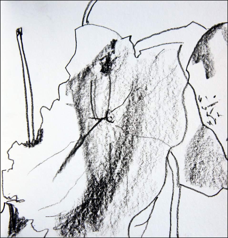 carnet de croquis 8