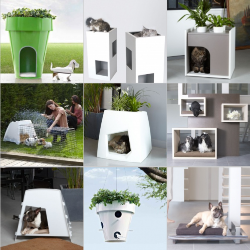 Design pour chiens et chats !