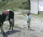 vidéo enfant reçoit coup sabot derrière un cheval