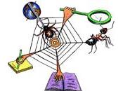 découverte métiers Licence Maths