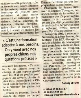 LE DRESSAGE DE CHIEN AU TROUPEAU