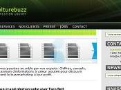 Culture Buzz Nouvelle version