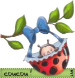 Image Hosted by ImageShack.us