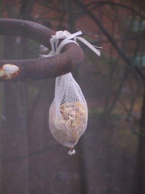 Gaby, l'ami tout petits animaux