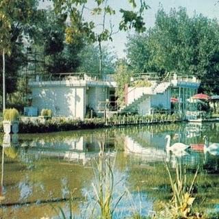 Ducktails - III : Arcade Dynamics