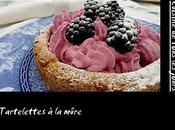 Tartelettes mûre