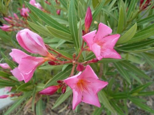 citations,écriture,société,livres