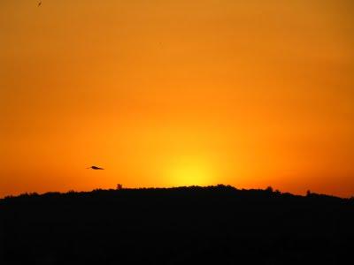 L'Aube à ma fenêtre