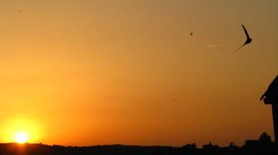 L'Aube à ma fenêtre