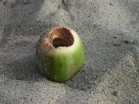 C'est le paradis !!!