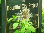 George Washington Carver Edible Park Bountiful City Project