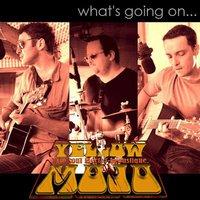 Yellow Mojo acoustique live !