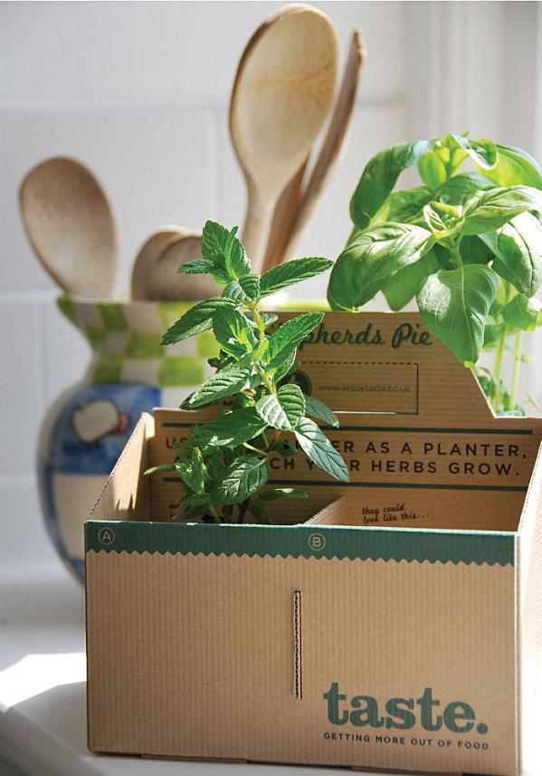 sam-stevens-emballage-taste 1