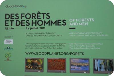 Des Forêts et des Hommes