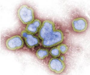 GRIPPE : Les 3 souches de la vaccination 2011-2012 – FDA