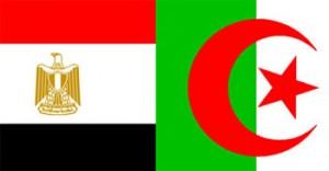 Un Algérie-Egypte se termine en bagarre générale (vidéo)