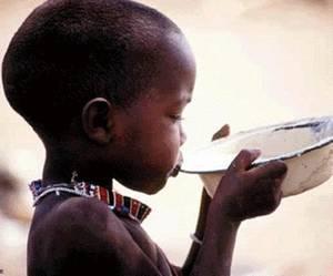 Risque de famine dans le Nord du Cameroun 