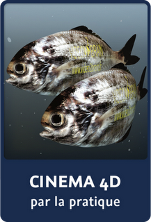 Cinema 4D par la pratique