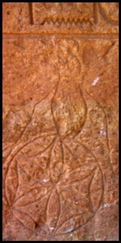 fleur-de-vie-Egypte-Assouan La Fleur de Vie Signification et Origine