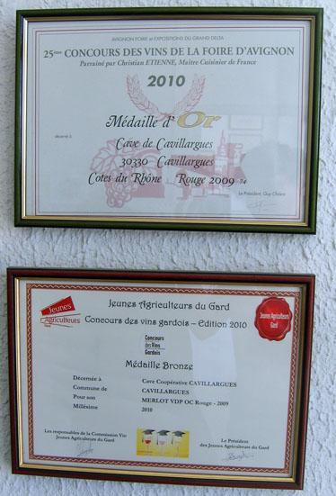 Avignon #01- la route des vins