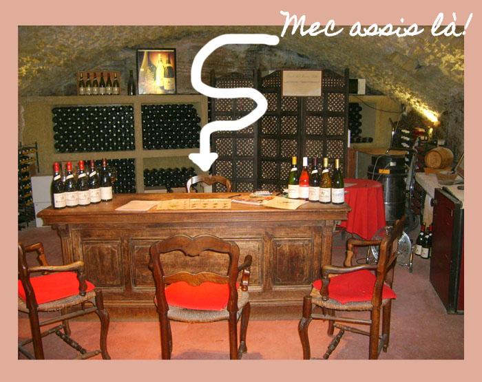 Avignon #01- la route des vins