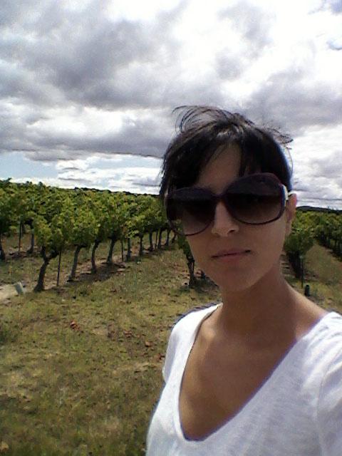 Avignon #01- la route des vins