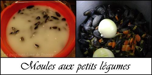moules-aux-petits-legumes-.jpg