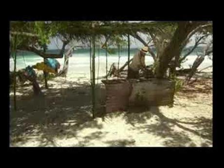 Un réveil de ce matin un peu spécial : Fête de l’Humanité 2011 : par ici le programme ! Image de prévisualisation YouTube