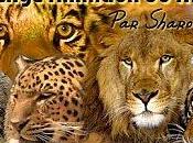 **Challenge animaux monde**