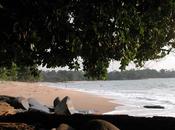 Deux élèves vacances noient dans l'Atlantique