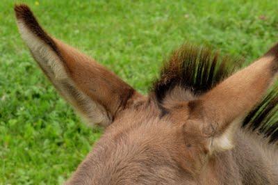 Sur le bord de la Meuse