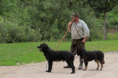 Sur le bord de la Meuse