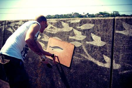 dutch-ink-reverse-graffiti-birds-3_picnik