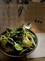 LE MOTCHIYA à Toulouse (31)