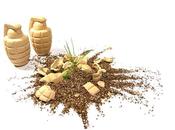 arme floraison massive