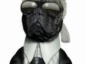 personnages célèbres chat